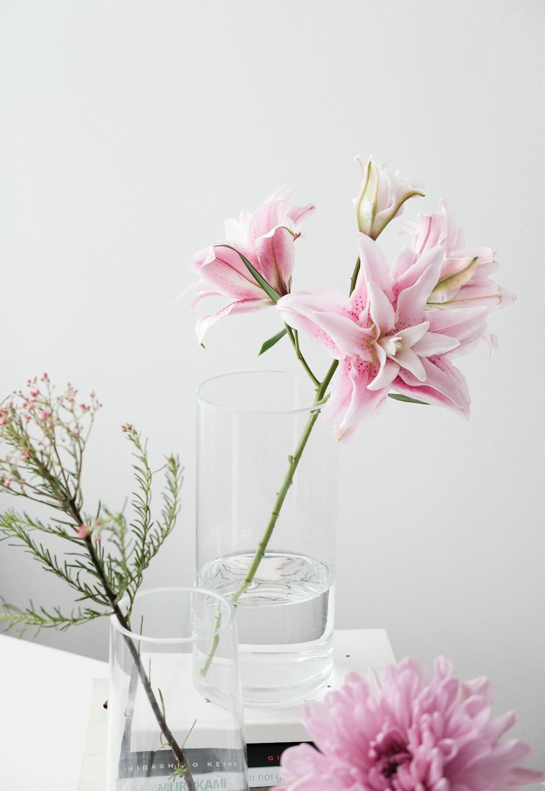 http://www.kcrea.cc/skin/default/image/zoomin.gif